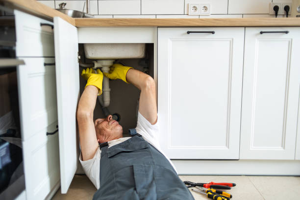 Best Residential Plumbing Services  in Sheldon, IA